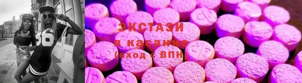 СК Дмитров