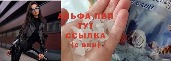 стафф Абаза