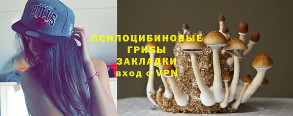 гашик Алзамай