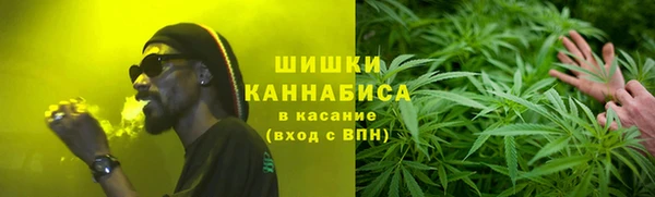 прущие грибы Алексеевка