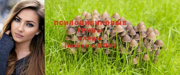 не бодяженный Алексин