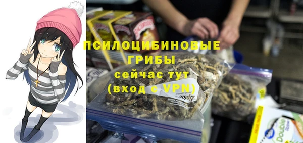 гашик Алзамай