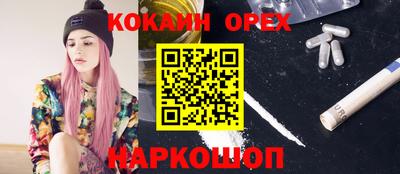 спиды Сланцы