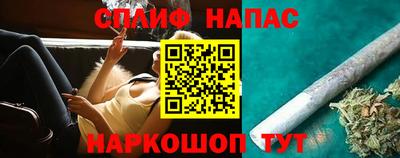 apvp Славгород