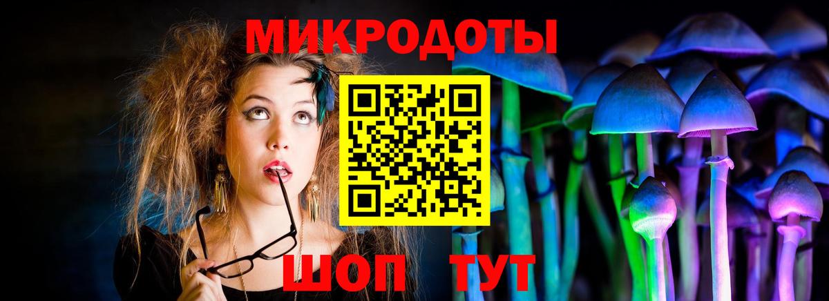 Псилоцибиновые грибы мицелий  Вход с VPN  Старая Русса  Псилоцибиновые грибы Psilocybe 